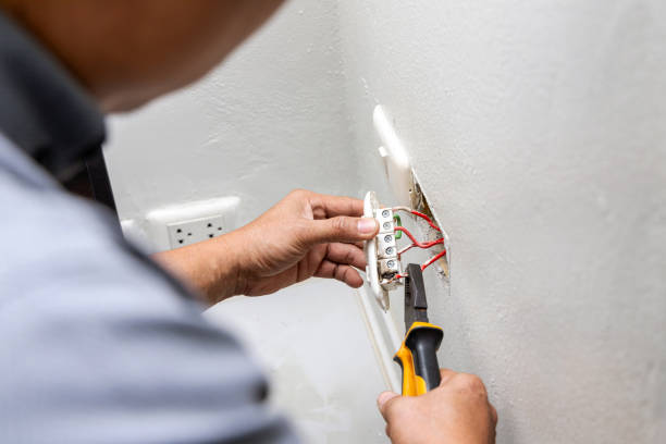 Best Ceiling Fan Installation Electrician  in Powers Lake, WI